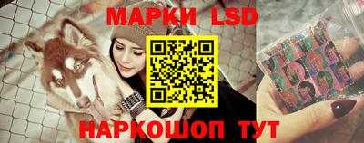 стафф Кинель