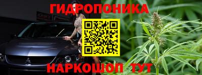 стафф Кинель